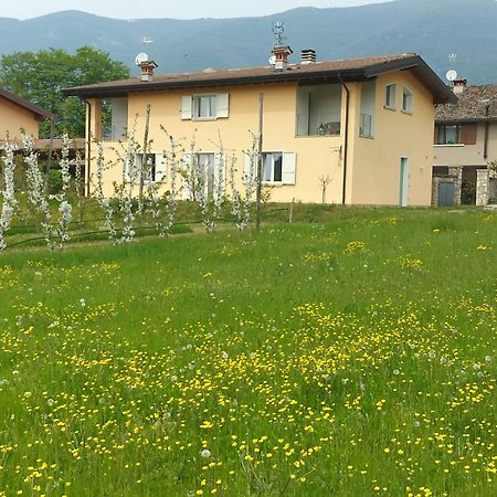 CASCINA LEGNAGO near Garda lake - trilocale Villanuova sul clisi Exterior foto