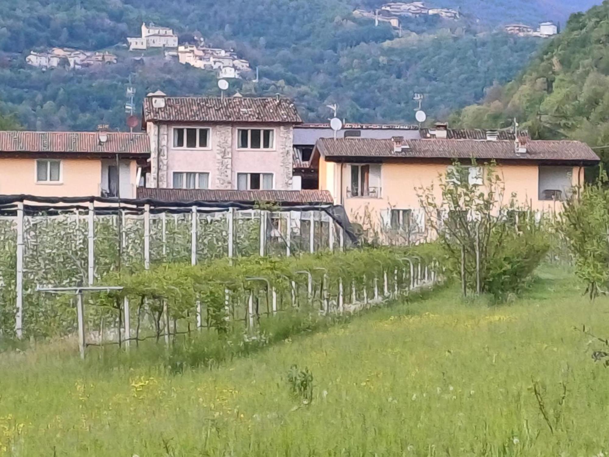 CASCINA LEGNAGO near Garda lake - trilocale Villanuova sul clisi Exterior foto