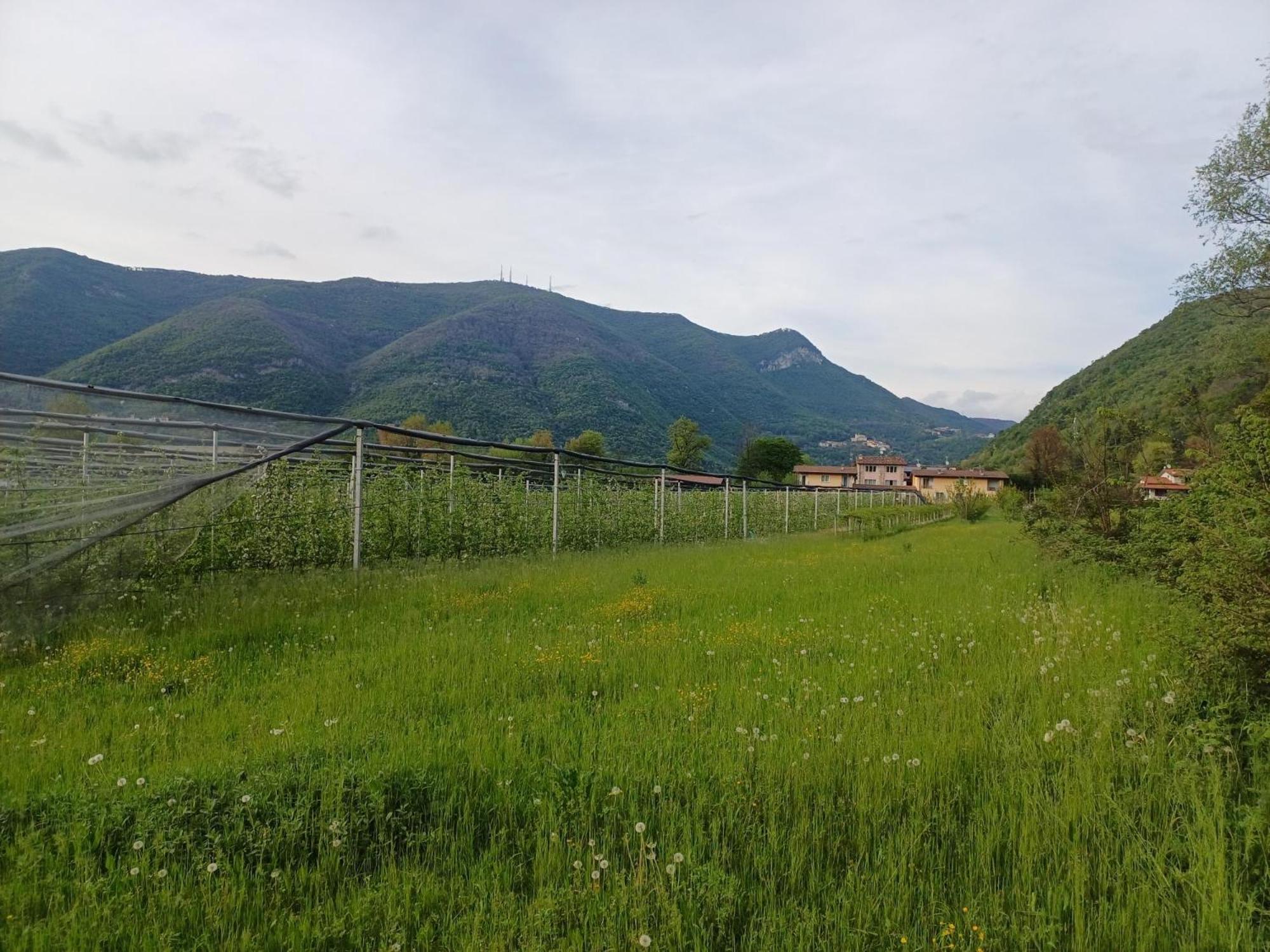CASCINA LEGNAGO near Garda lake - trilocale Villanuova sul clisi Exterior foto