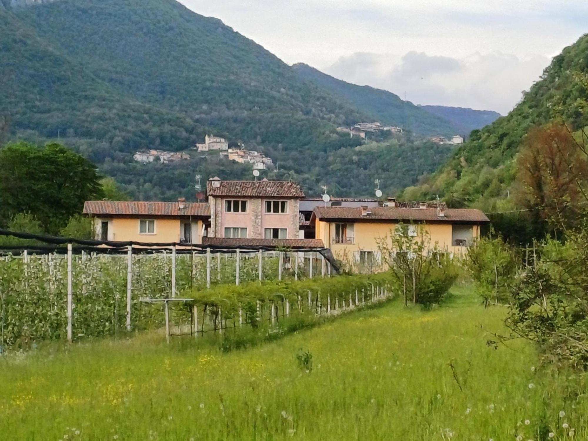 CASCINA LEGNAGO near Garda lake - trilocale Villanuova sul clisi Exterior foto