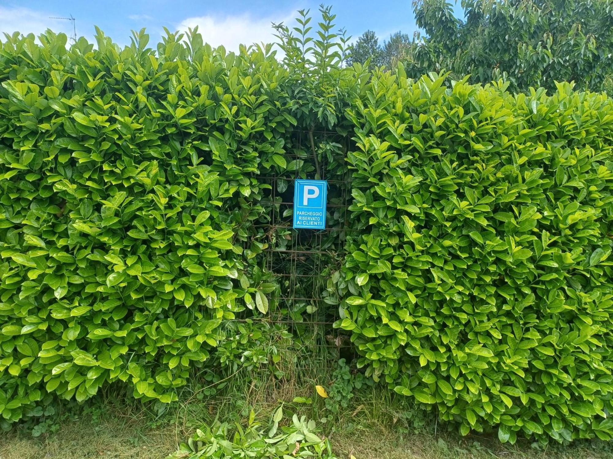 CASCINA LEGNAGO near Garda lake - trilocale Villanuova sul clisi Exterior foto